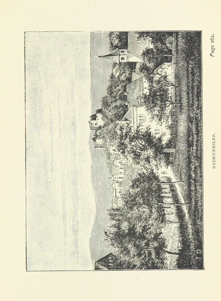 An illustration from In the Black Forest, 1882, leaf 343