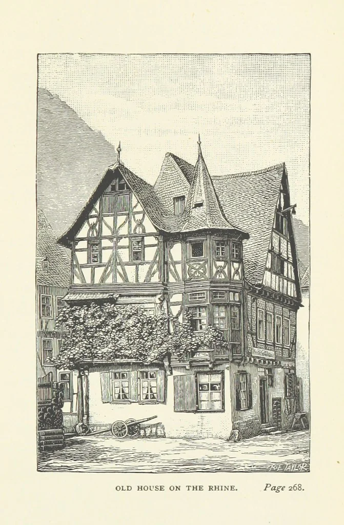 An illustration from In the Black Forest, 1882, leaf 353