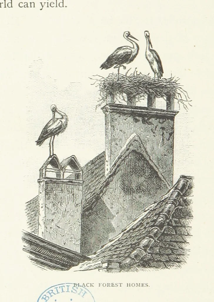 An illustration from In the Black Forest, 1882, leaf 362