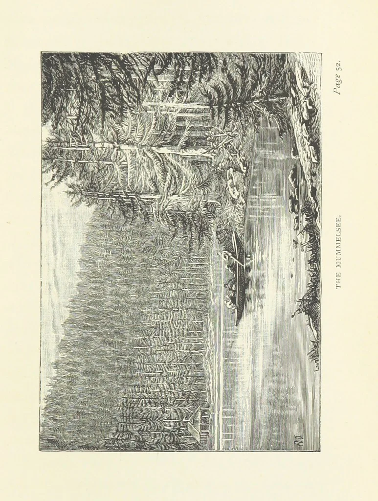 An illustration from In the Black Forest, 1882, leaf 75