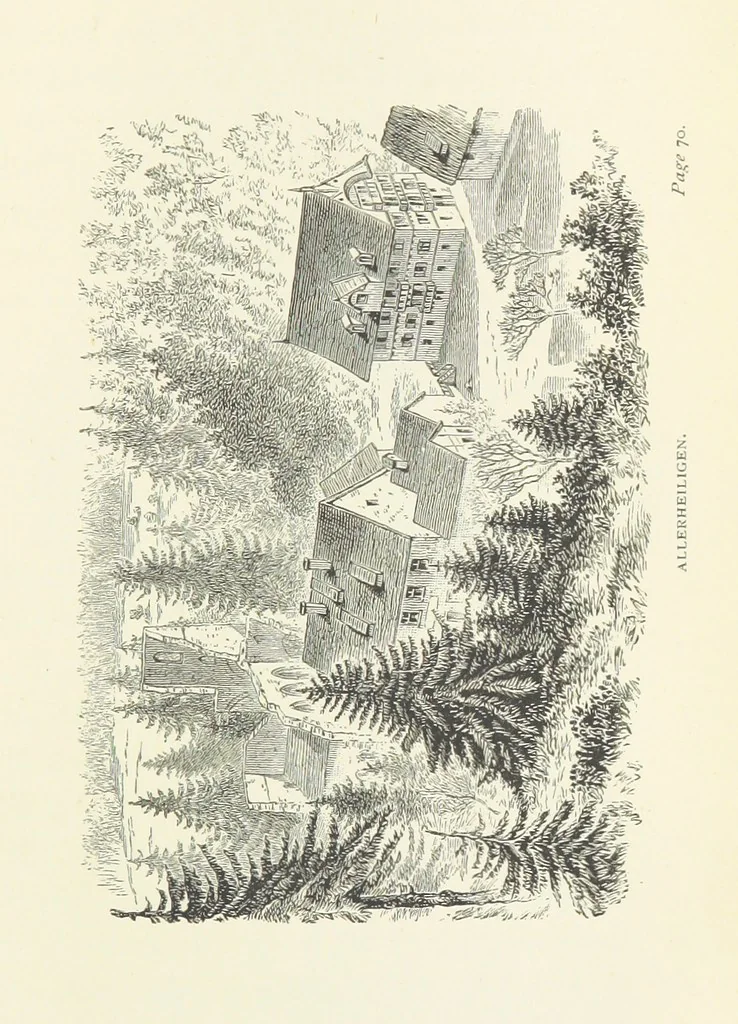 An illustration from In the Black Forest, 1882, leaf 95