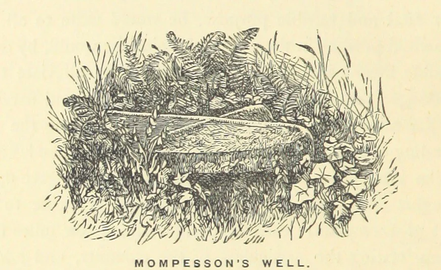 An illustration from The History and Antiquities of Eyam ... Sixth edition. With illustrations from photographs by J. A. Warwick and R. Keene, 1870, leaf 92