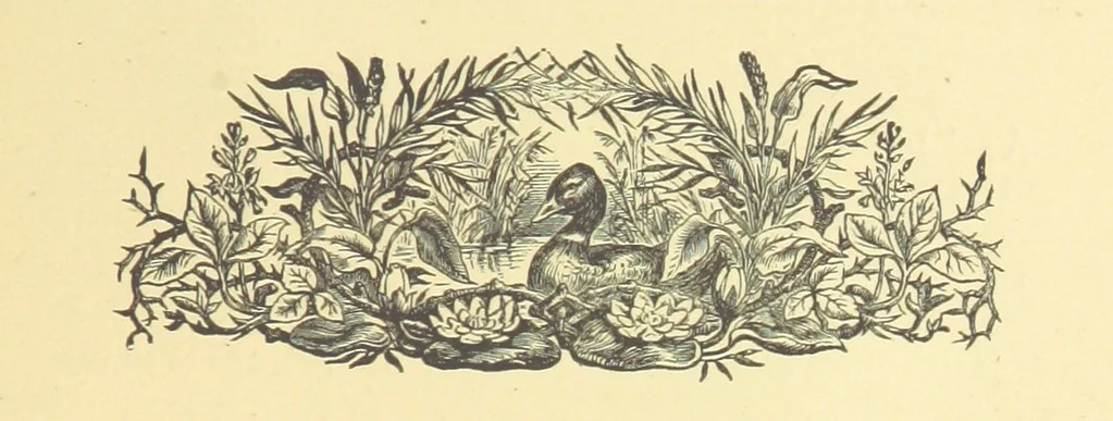 An illustration from Poems, 1884, leaf 23