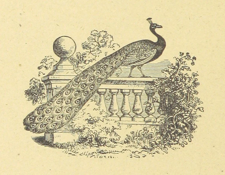An illustration from Poems, 1884, leaf 66
