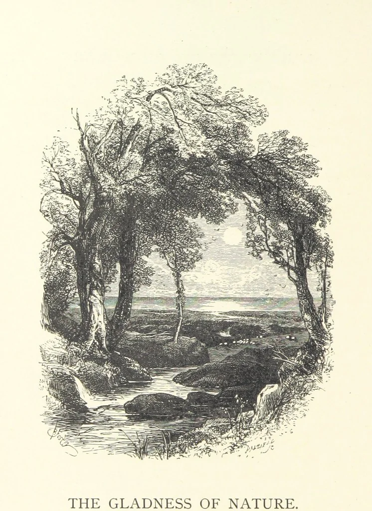 An illustration from Wood-Side and Sea-Side. Illustrated by pen and pencil, 1869, leaf 100