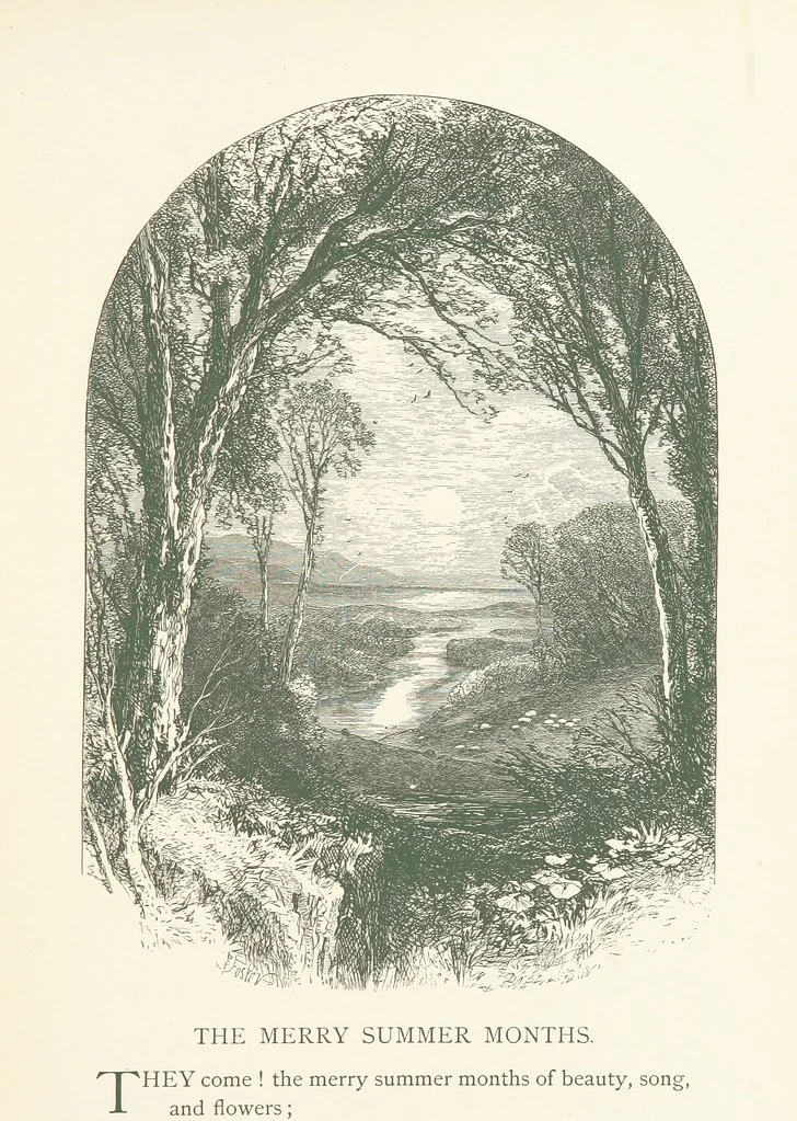 An illustration from Wood-Side and Sea-Side. Illustrated by pen and pencil, 1869, leaf 15