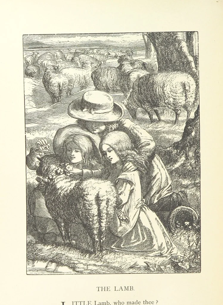 An illustration from Wood-Side and Sea-Side. Illustrated by pen and pencil, 1869, leaf 22