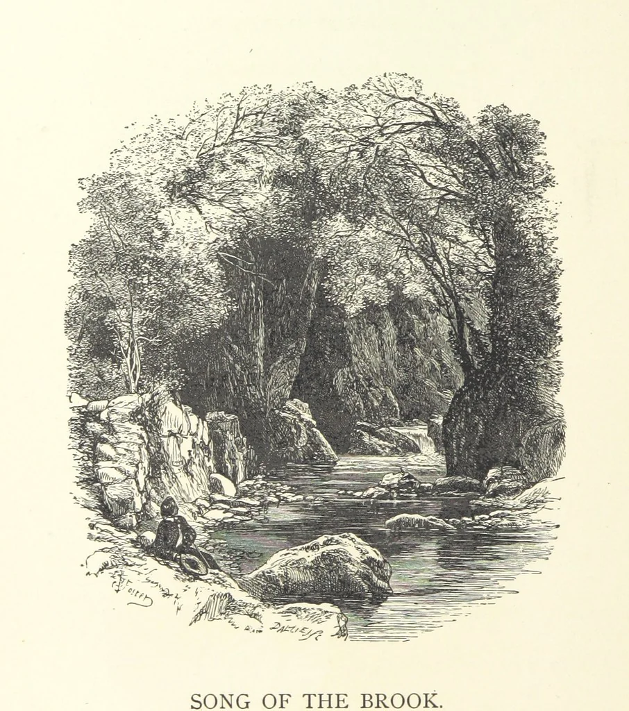 An illustration from Wood-Side and Sea-Side. Illustrated by pen and pencil, 1869, leaf 24