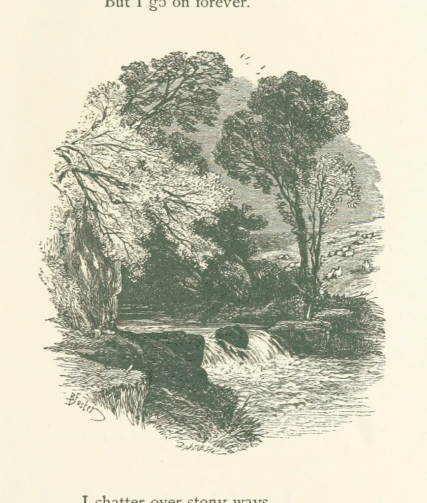 An illustration from Wood-Side and Sea-Side. Illustrated by pen and pencil, 1869, leaf 25