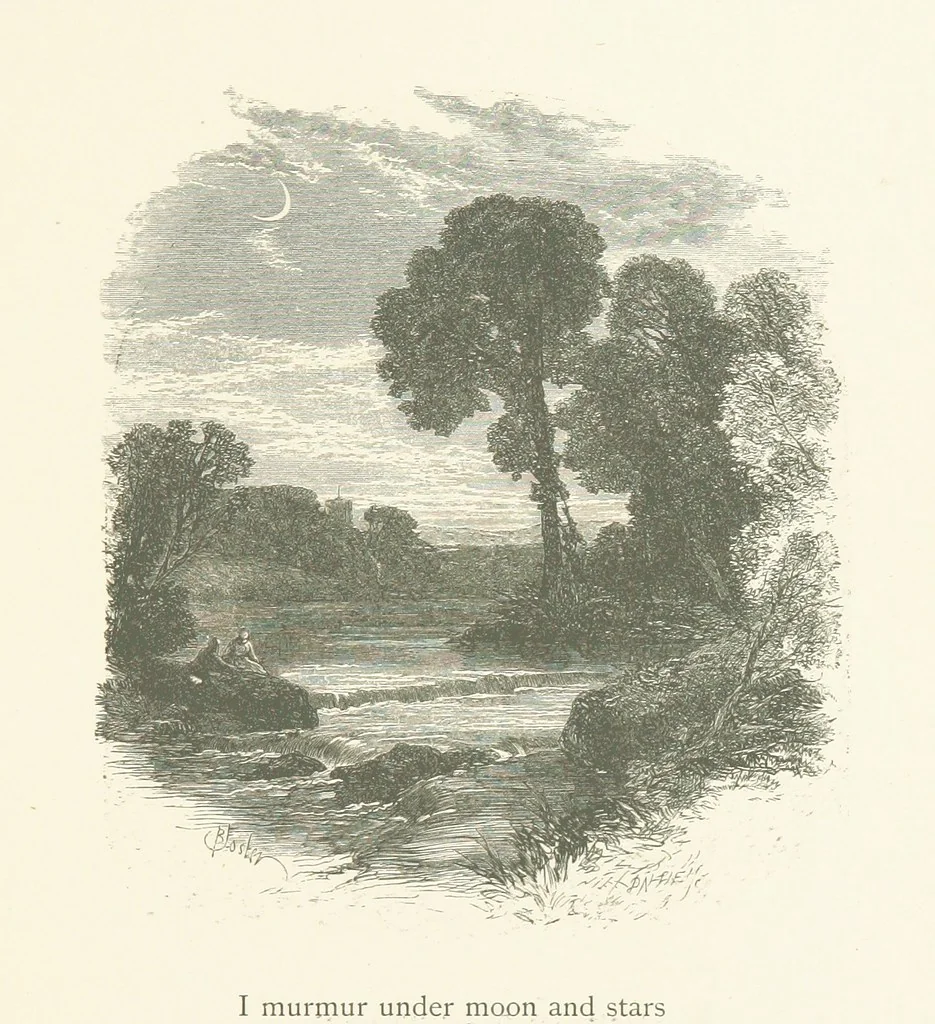 An illustration from Wood-Side and Sea-Side. Illustrated by pen and pencil, 1869, leaf 27