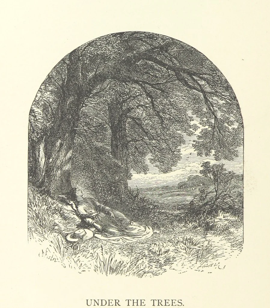 An illustration from Wood-Side and Sea-Side. Illustrated by pen and pencil, 1869, leaf 28