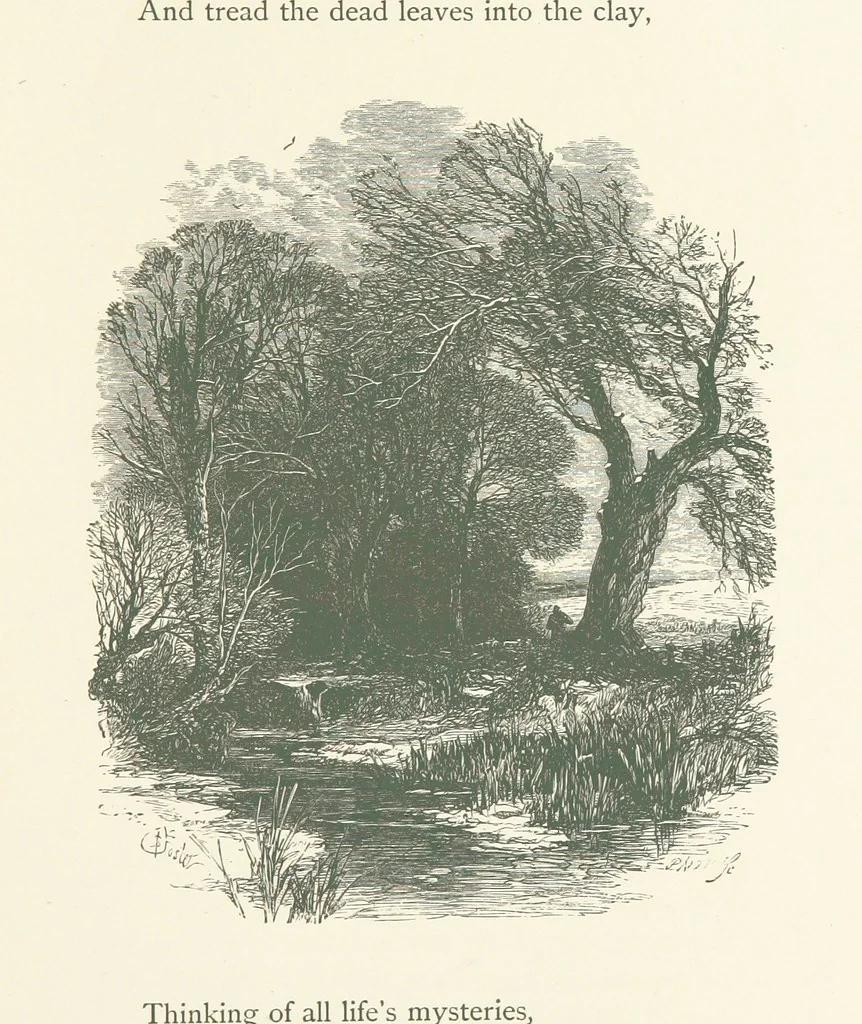 An illustration from Wood-Side and Sea-Side. Illustrated by pen and pencil, 1869, leaf 29
