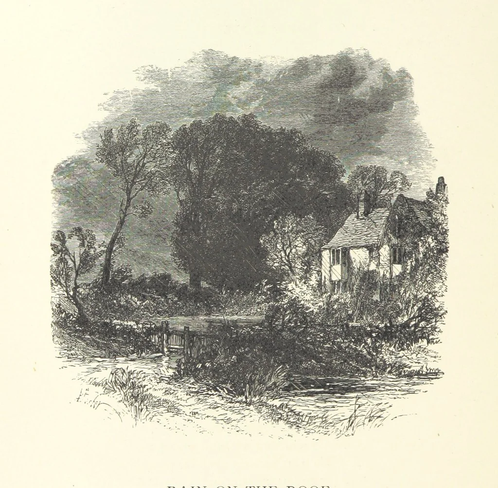 An illustration from Wood-Side and Sea-Side. Illustrated by pen and pencil, 1869, leaf 34