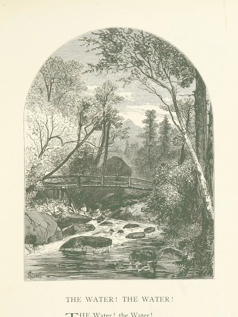 An illustration from Wood-Side and Sea-Side. Illustrated by pen and pencil, 1869, leaf 37
