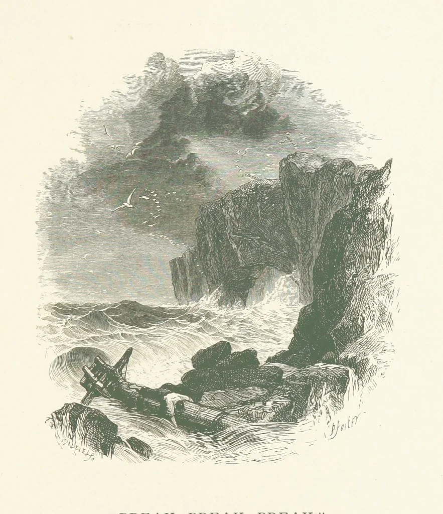 An illustration from Wood-Side and Sea-Side. Illustrated by pen and pencil, 1869, leaf 41