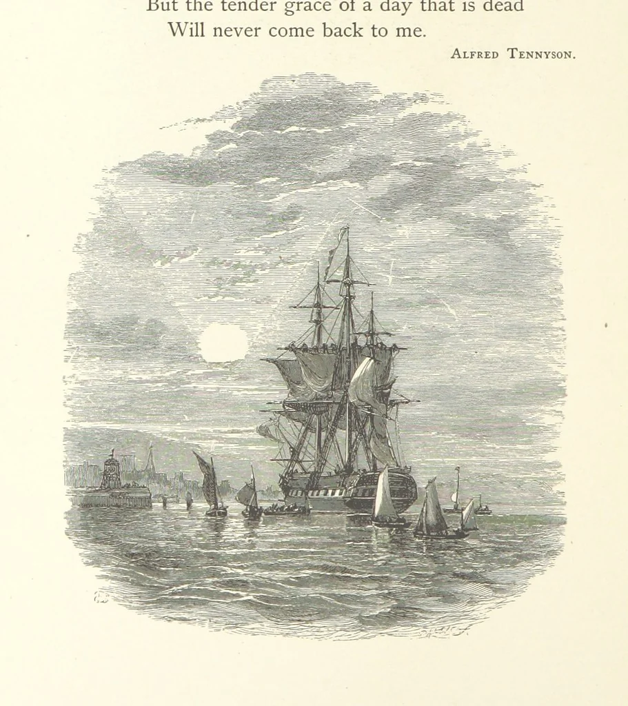 An illustration from Wood-Side and Sea-Side. Illustrated by pen and pencil, 1869, leaf 42