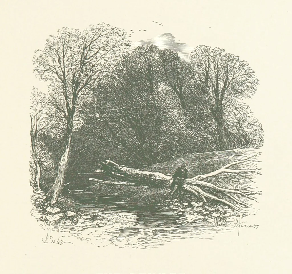 An illustration from Wood-Side and Sea-Side. Illustrated by pen and pencil, 1869, leaf 43