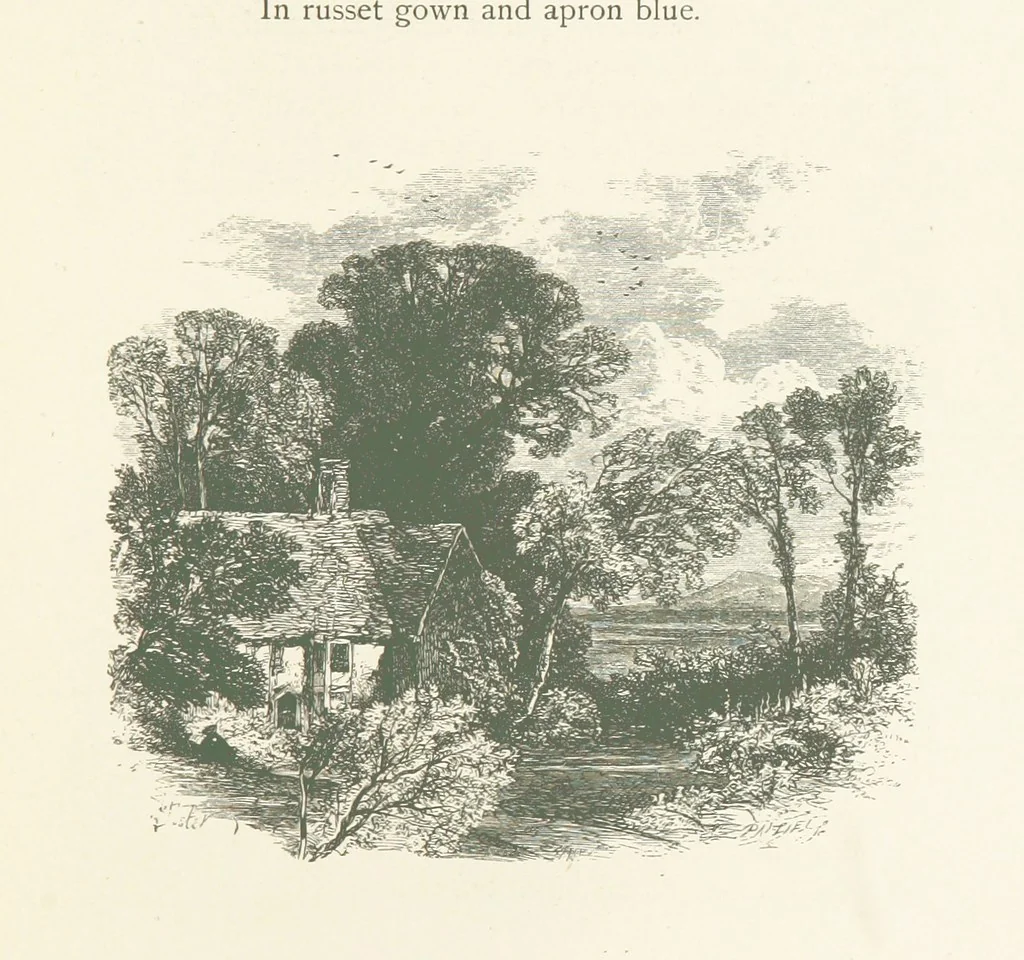 An illustration from Wood-Side and Sea-Side. Illustrated by pen and pencil, 1869, leaf 47