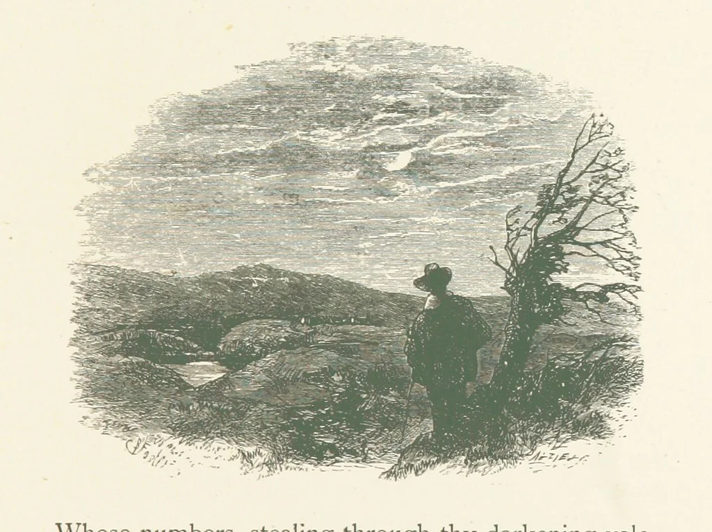 An illustration from Wood-Side and Sea-Side. Illustrated by pen and pencil, 1869, leaf 51