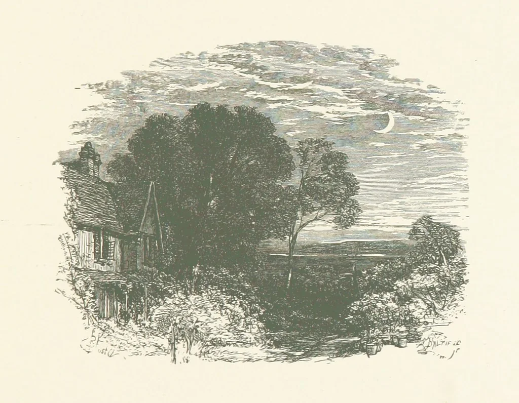 An illustration from Wood-Side and Sea-Side. Illustrated by pen and pencil, 1869, leaf 57