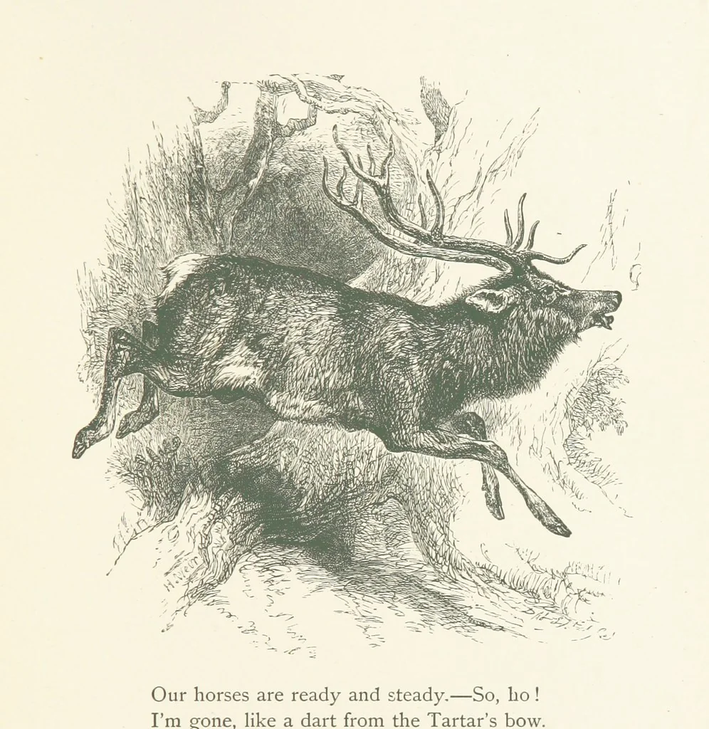 An illustration from Wood-Side and Sea-Side. Illustrated by pen and pencil, 1869, leaf 59