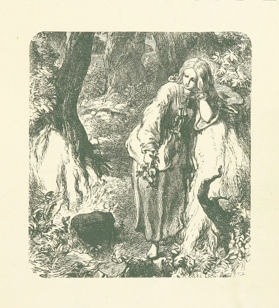 An illustration from Wood-Side and Sea-Side. Illustrated by pen and pencil, 1869, leaf 7