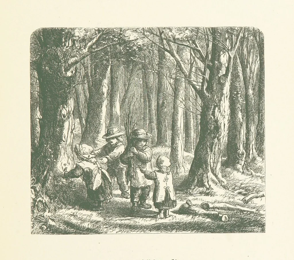 An illustration from Wood-Side and Sea-Side. Illustrated by pen and pencil, 1869, leaf 71