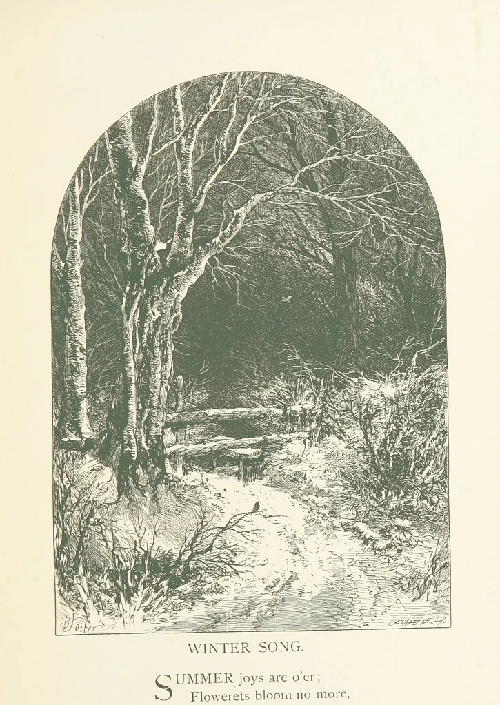 An illustration from Wood-Side and Sea-Side. Illustrated by pen and pencil, 1869, leaf 73