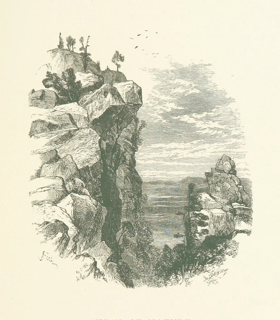 An illustration from Wood-Side and Sea-Side. Illustrated by pen and pencil, 1869, leaf 77
