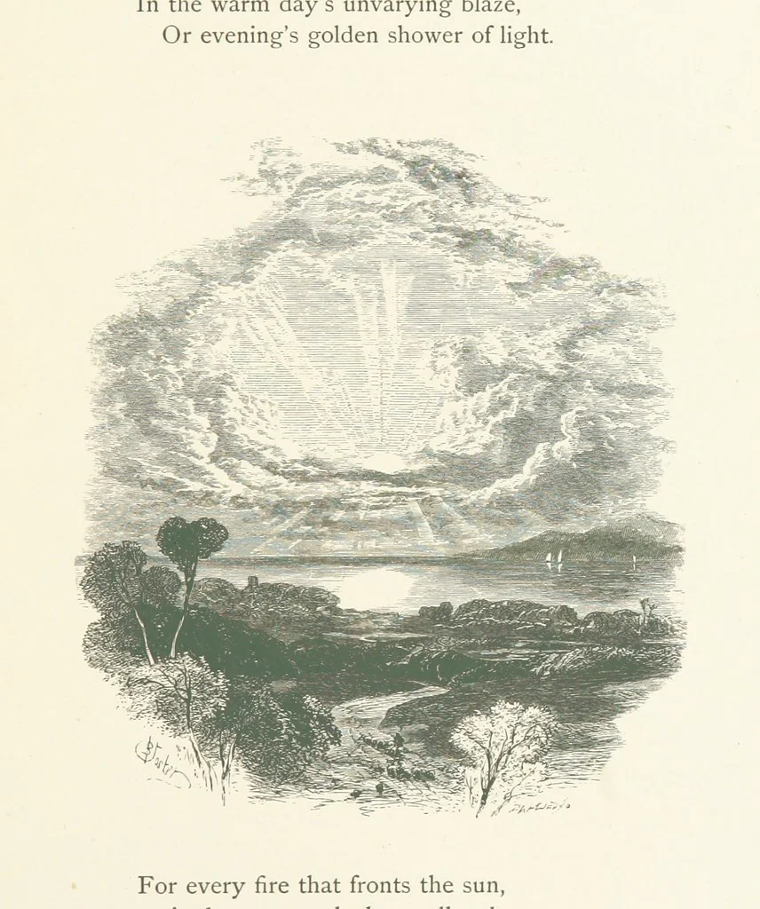 An illustration from Wood-Side and Sea-Side. Illustrated by pen and pencil, 1869, leaf 79