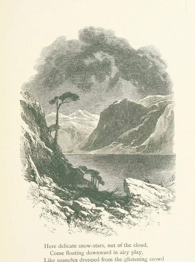 An illustration from Wood-Side and Sea-Side. Illustrated by pen and pencil, 1869, leaf 81