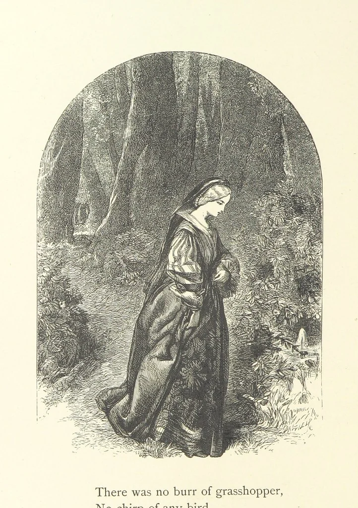 An illustration from Wood-Side and Sea-Side. Illustrated by pen and pencil, 1869, leaf 86