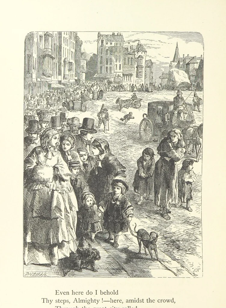 An illustration from Wood-Side and Sea-Side. Illustrated by pen and pencil, 1869, leaf 88
