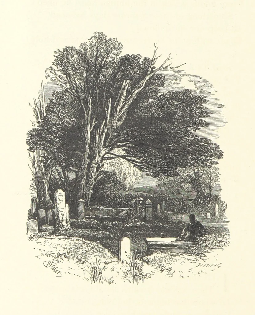 An illustration from Wood-Side and Sea-Side. Illustrated by pen and pencil, 1869, leaf 92