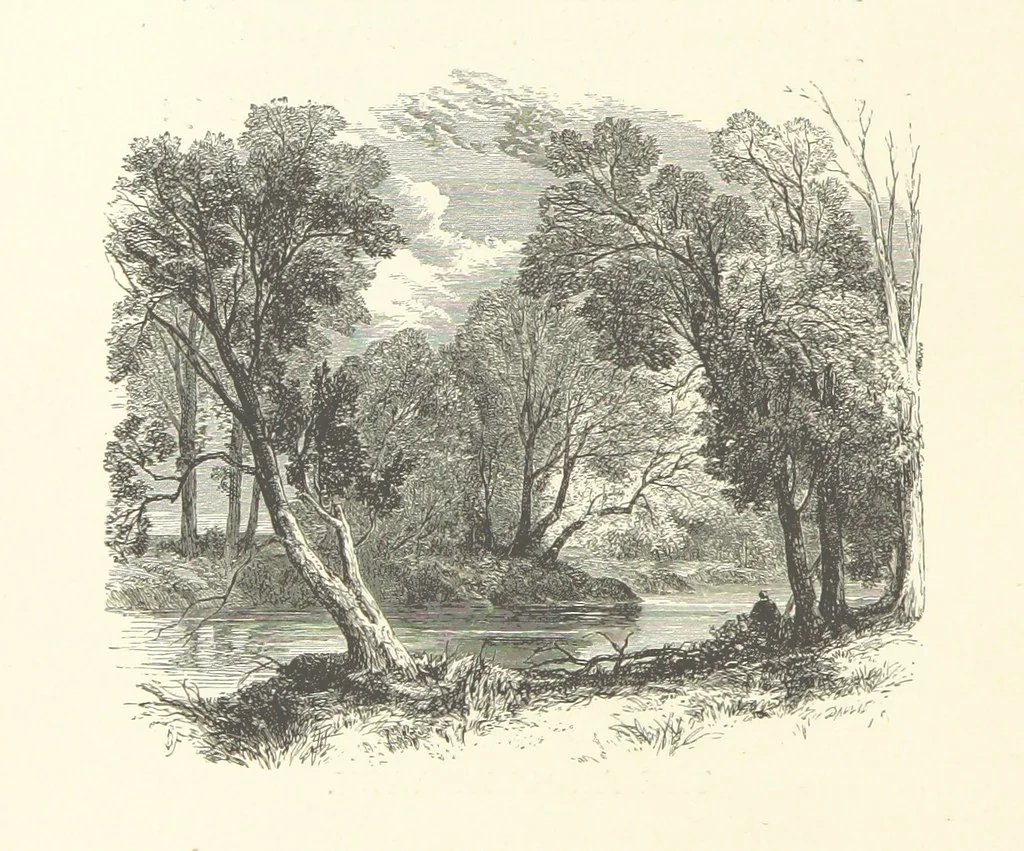 An illustration from Wood-Side and Sea-Side. Illustrated by pen and pencil, 1869, leaf 94