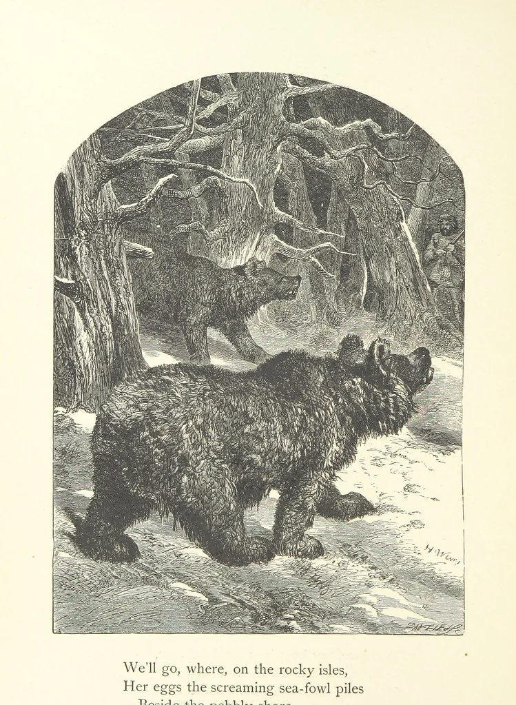 An illustration from Wood-Side and Sea-Side. Illustrated by pen and pencil, 1869, leaf 96
