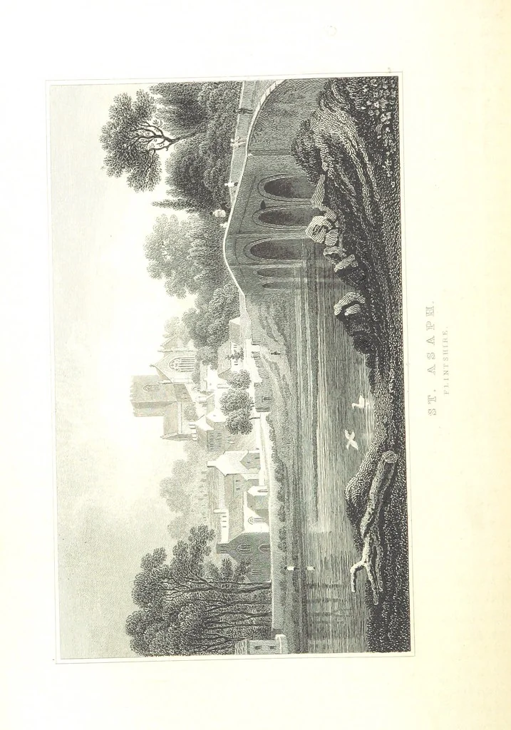 An illustration from The History of Wales from the earliest times to its final incorporation with the kingdom of England etc, 1853, leaf 216