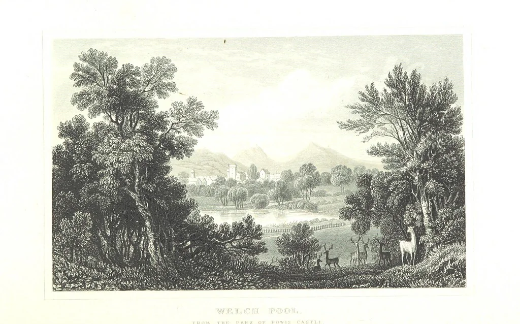 An illustration from The History of Wales from the earliest times to its final incorporation with the kingdom of England etc, 1853, leaf 342