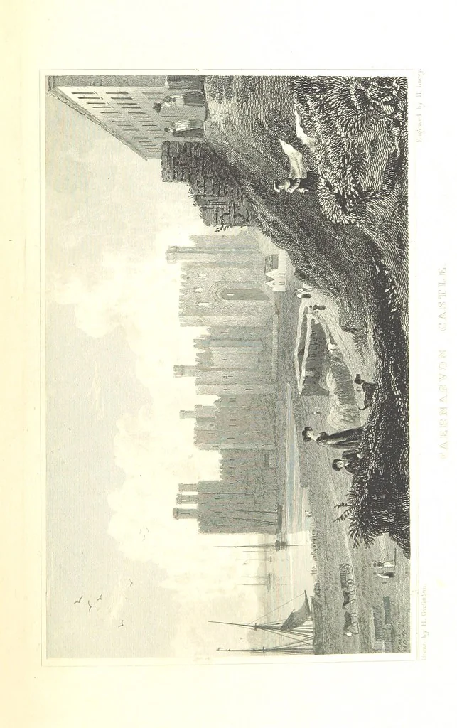 An illustration from The History of Wales from the earliest times to its final incorporation with the kingdom of England etc, 1853, leaf 699