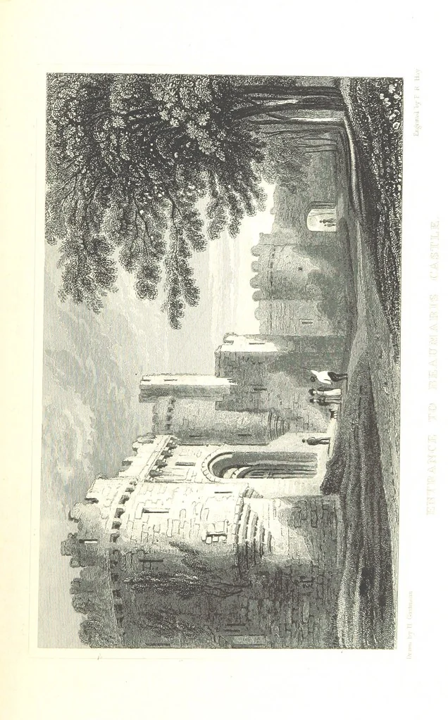 An illustration from The History of Wales from the earliest times to its final incorporation with the kingdom of England etc, 1853, leaf 707