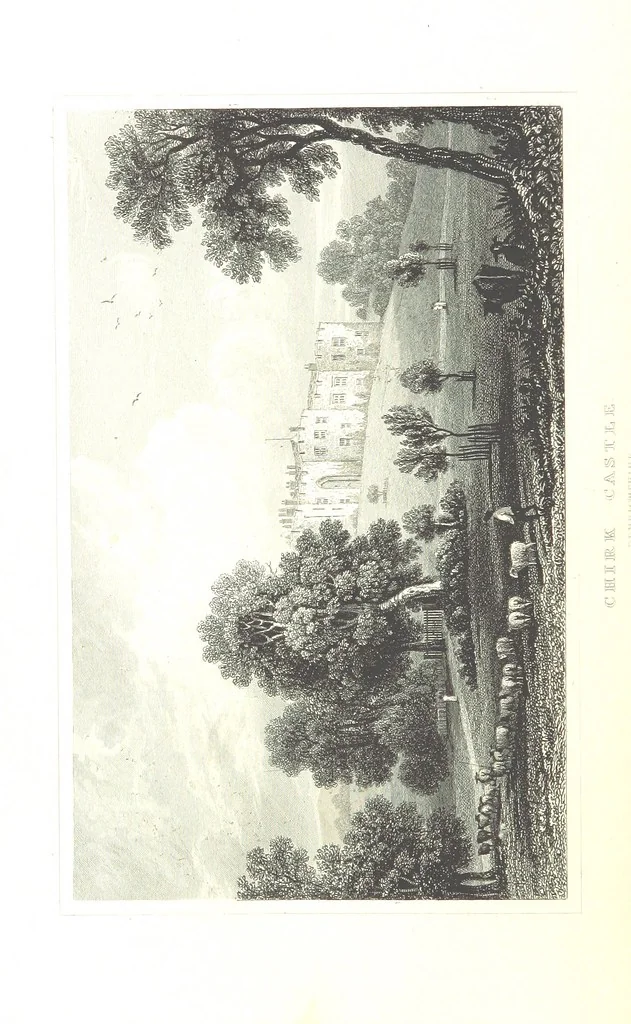 An illustration from The History of Wales from the earliest times to its final incorporation with the kingdom of England etc, 1853, leaf 712