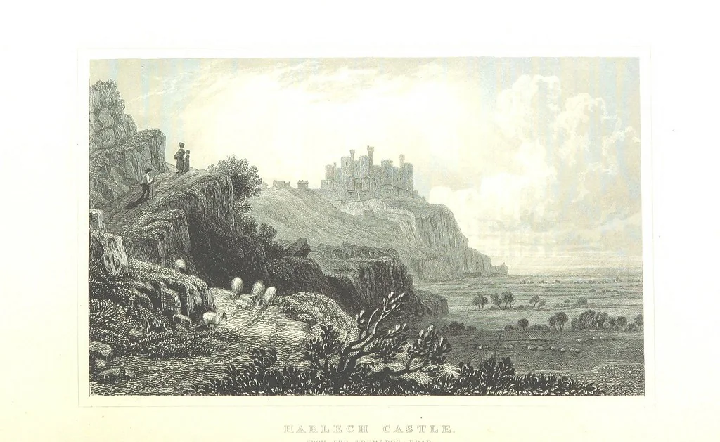 An illustration from The History of Wales from the earliest times to its final incorporation with the kingdom of England etc, 1853, leaf 728