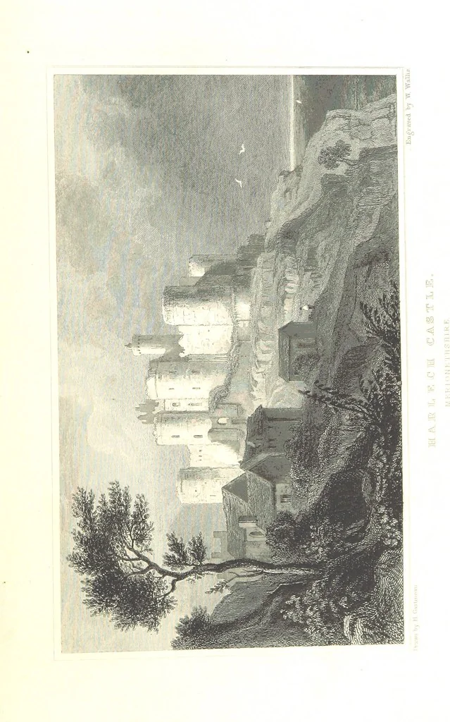 An illustration from The History of Wales from the earliest times to its final incorporation with the kingdom of England etc, 1853, leaf 731