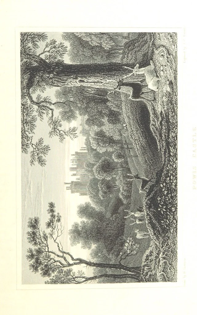 An illustration from The History of Wales from the earliest times to its final incorporation with the kingdom of England etc, 1853, leaf 81