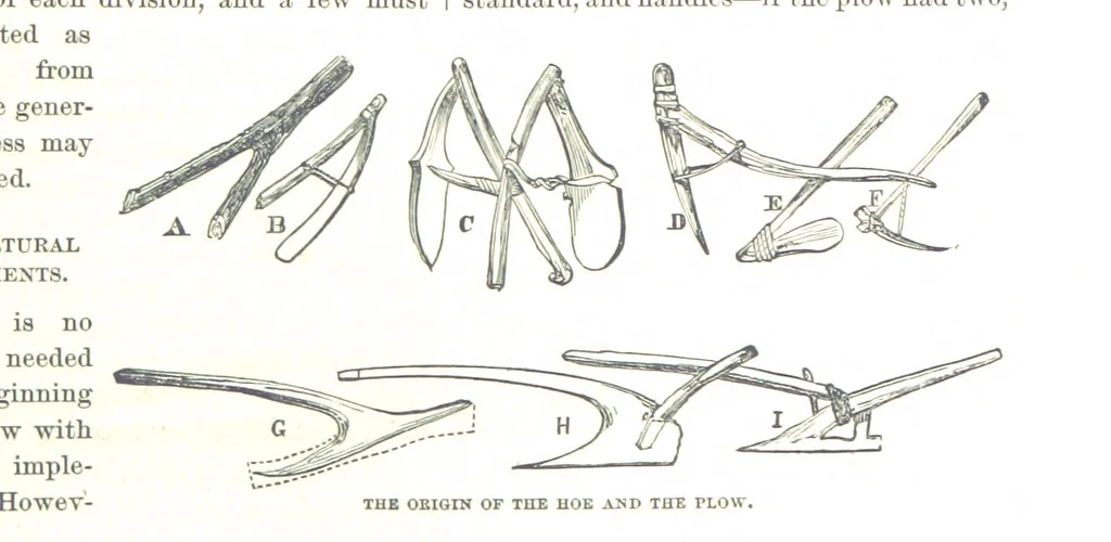 An illustration from The first century of the Republic. A review of American progress. By ... T. D. W., ... F. A. P. Barnard [and others, 1876, leaf 49