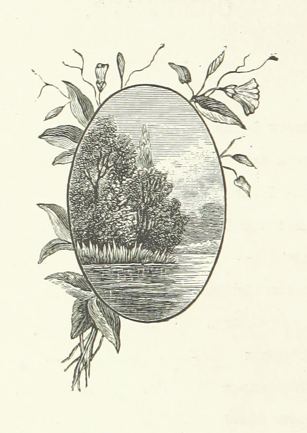 An illustration from In the Days of '54. A story of love and sacrifice, etc, 1893, leaf 10