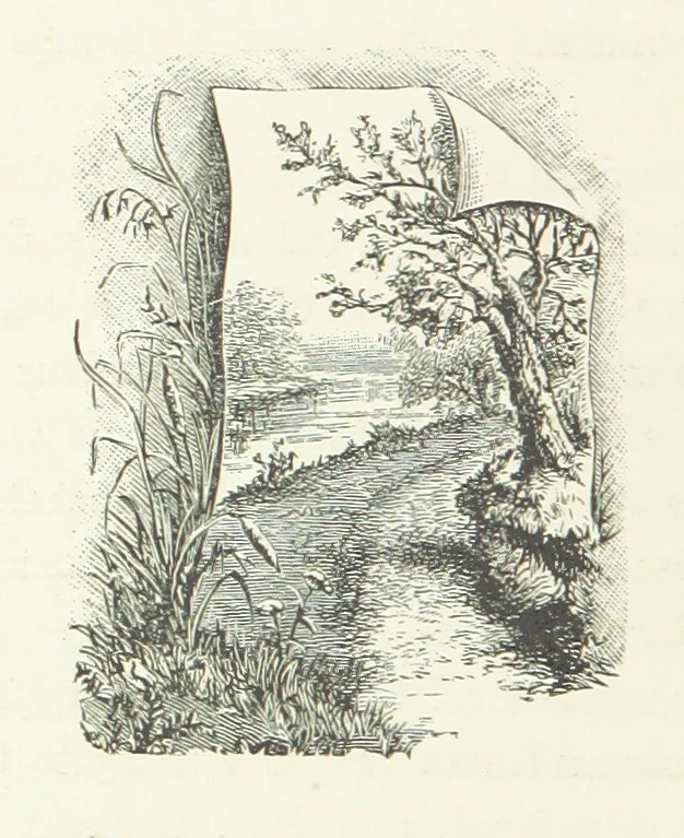 An illustration from In the Days of '54. A story of love and sacrifice, etc, 1893, leaf 114