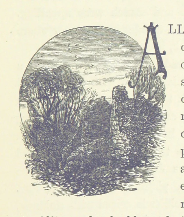 An illustration from In the Days of '54. A story of love and sacrifice, etc, 1893, leaf 115