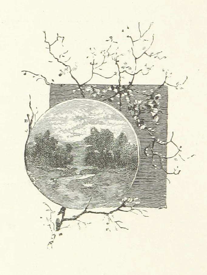 An illustration from In the Days of '54. A story of love and sacrifice, etc, 1893, leaf 12