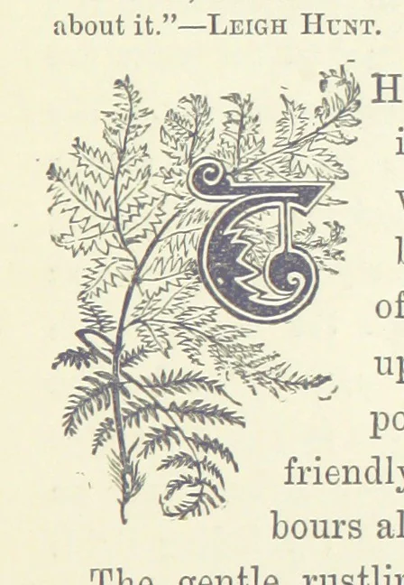 An illustration from In the Days of '54. A story of love and sacrifice, etc, 1893, leaf 13